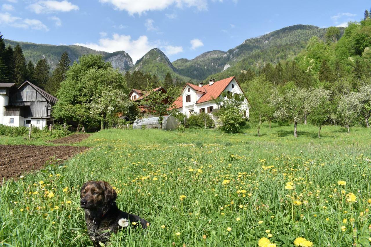 Luče Turisticna Kmetija Stoglej 빌라 외부 사진